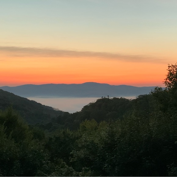 Meet your Posher, Katie - Picture 1 of 2